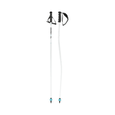 Ski Poles Head Worldcup SG - Genetik Sport