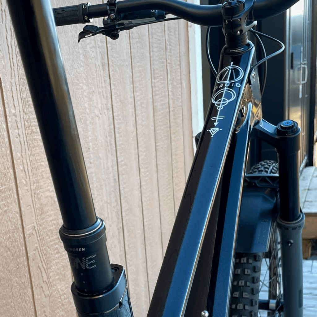 Demo Bike Custom Zeb/Enve Forbidden Druid X0 AXS 29" front & rear Stardust - Genetik Sport