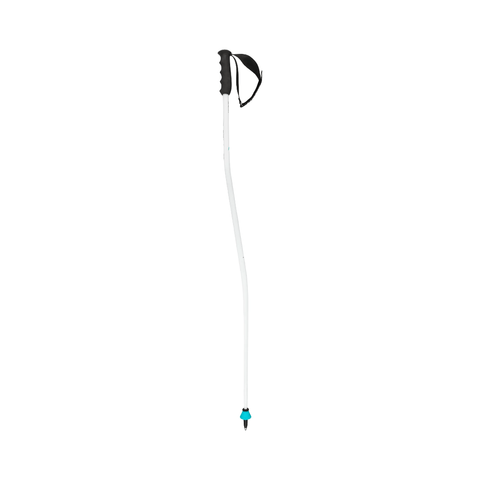 Ski Poles Head Worldcup SG - Genetik Sport